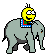 elephant67